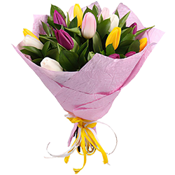 заказать Тюльпани
