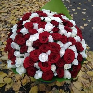 101 красная и белая роза в Днепре фото