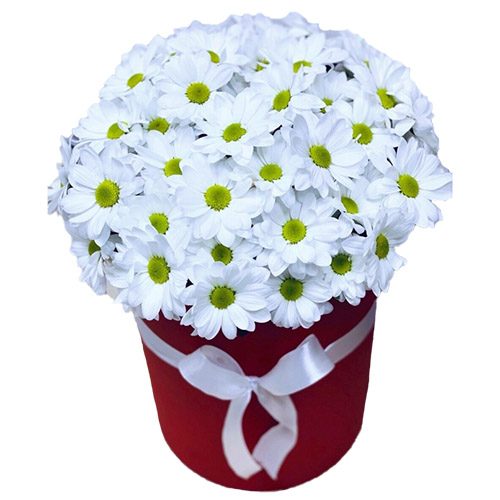 Фото товара Шляпная коробка "Ромашки" в Днепре