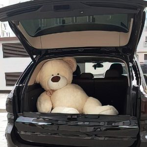 большой плюшевый мишка в Днепре фото