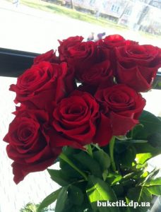 букет из 11 красных роз 11 красных роз девушке в Днепре фото