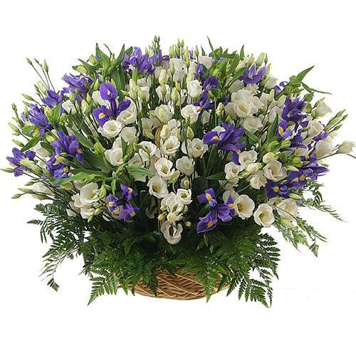 Фото товара 101 эустома в корзине в Днепре