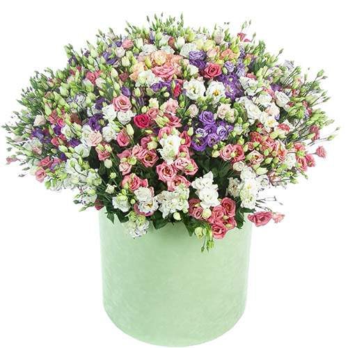 Фото товара 101 эустома в шляпной коробке в Днепре