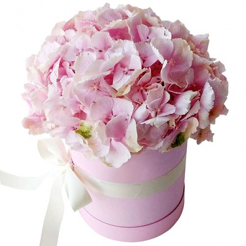 Фото товара Шляпная коробка "Нежная" в Днепре