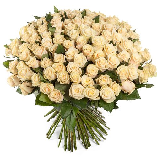 Фото товара 101 кремовая роза в Днепре