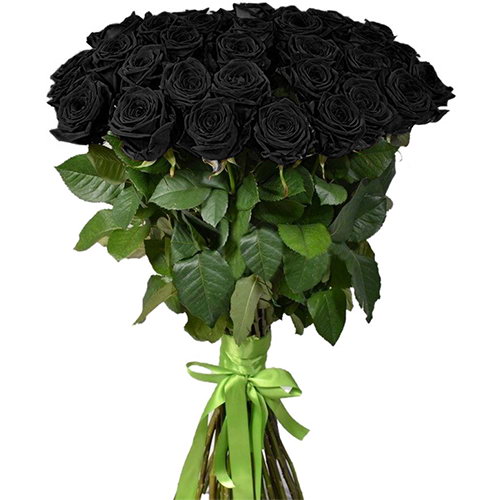 Черная роза купить комнатные цветы рядом со мной купить