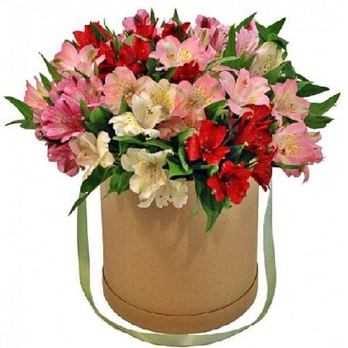 Фото товара Шляпная коробка "Салют" в Днепре