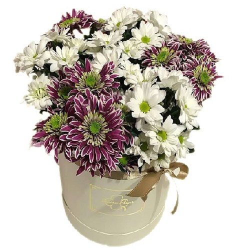 Фото товара Хризантемы в шляпной коробке в Днепре