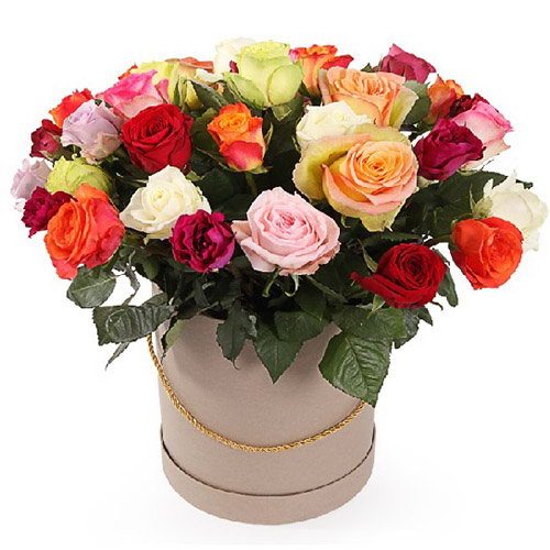 Фото товара Шляпная коробка "Фиеста" в Днепре