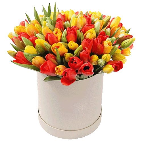 Фото товара 101 тюльпан в коробке в Днепре