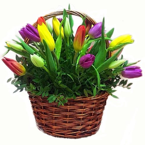 Фото товара 15 тюльпанов в корзине в Днепре