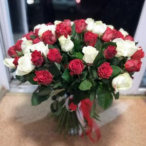 51 красно-белая роза в Днепре фото