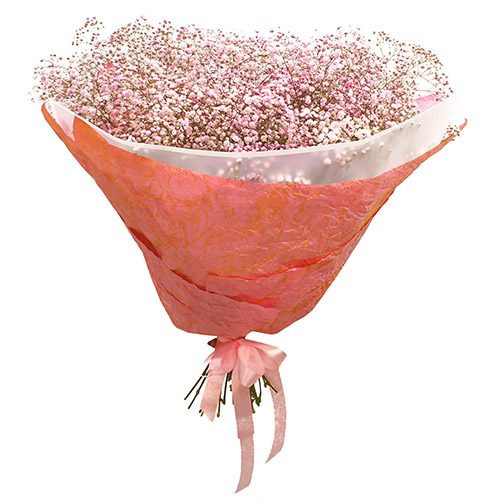 Фото товара Букет із гіпсофіли "Ніжне мереживо" в Днепре