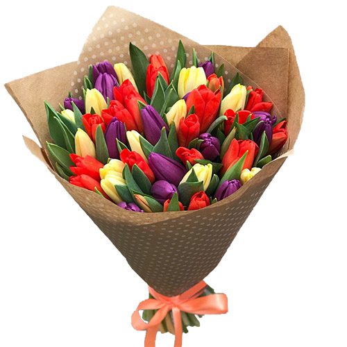 Фото товара 25 тюльпанов микс в Днепре