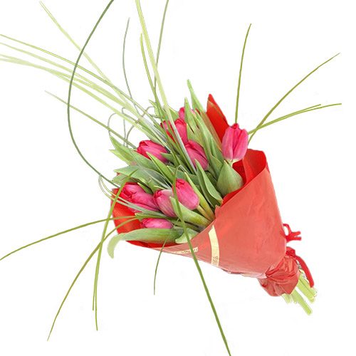 Фото товара Букет "Фонтан" (15 тюльпанів) в Днепре