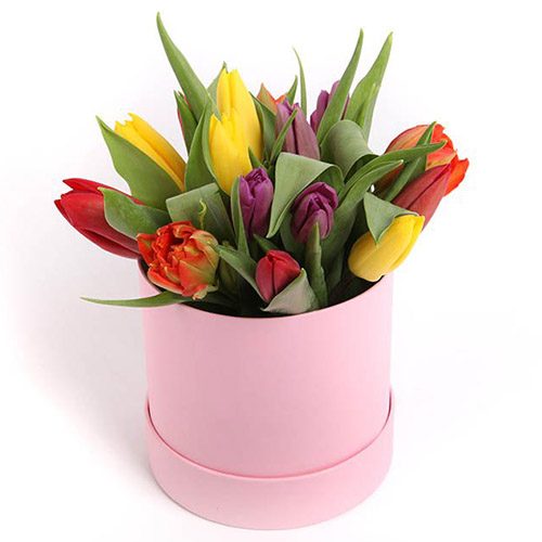 Фото товара Капелюшна коробка асорті "Веселка" в Днепре