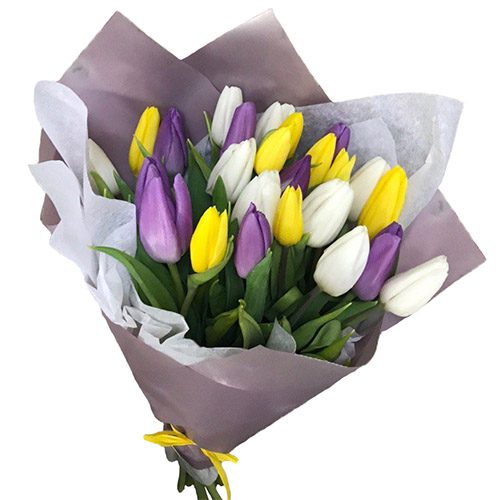 Фото товара 25 тюльпанів "Княгиня" в Днепре