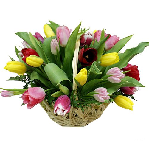 Фото товара 25 тюльпанів мікс у кошику в Днепре