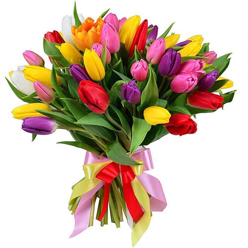 Фото товара 35 тюльпанів "Райдужний мікс" зі стрічкою в Днепре