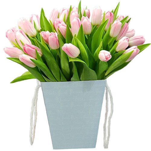 Фото товара 35 тюльпанів у квадратній коробці в Днепре