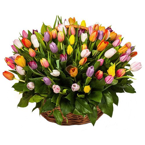 Фото товара 101 тюльпан асорті в кошику в Днепре