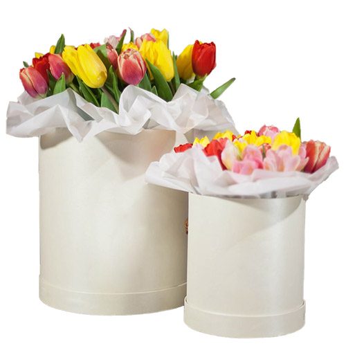 Фото товара Подарунок "Дві зірки" в Днепре