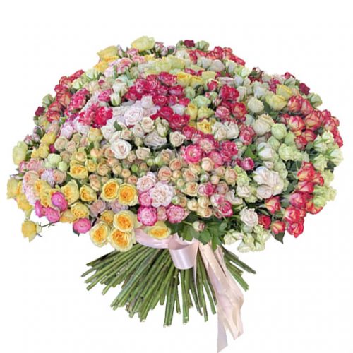 Фото товара 201 кущова троянда в Днепре