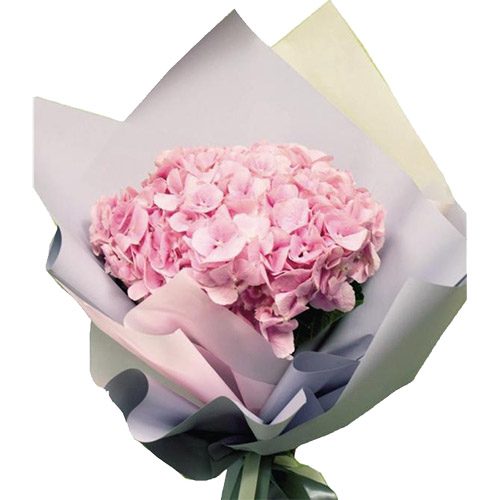 Фото товара Рожева гортензія в Днепре