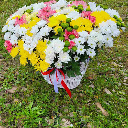 большой букет хризантем в корзине в Днепре фото