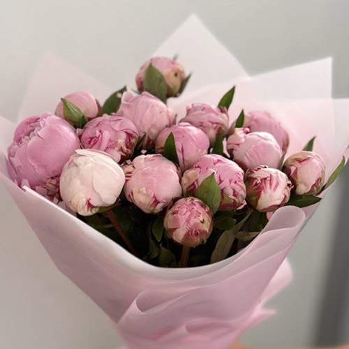 категория товаров Півонії | Дніпро | «Букетик Дніпра»